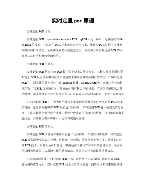 实时定量pcr原理