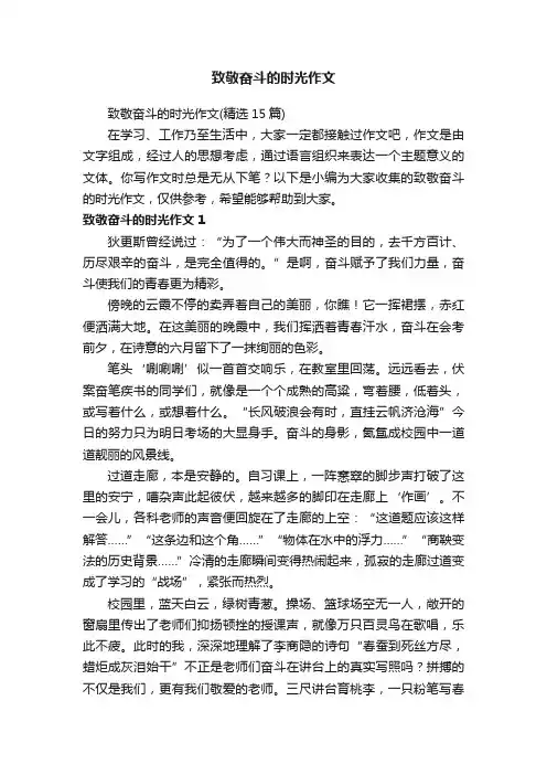 致敬奋斗的时光作文