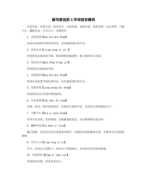 描写荷花的4字词语有哪些
