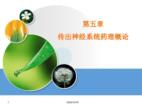 药理学第五章传出神经系统药理概论课件