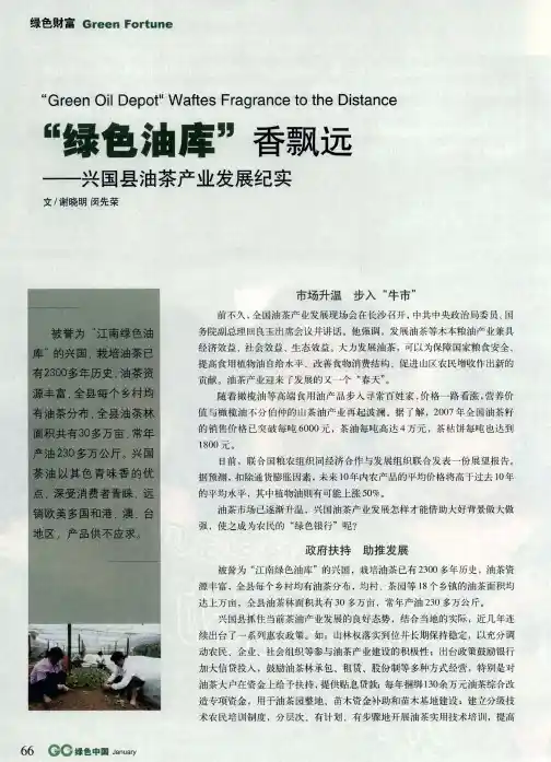 “绿色油库”香飘远——兴国县油茶产业发展纪实