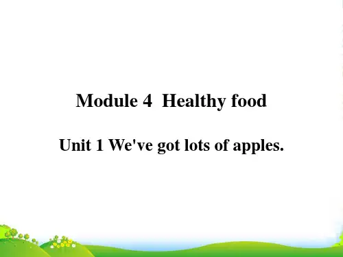 七年级英语外研版浙江专用课件：Module 4 Unit 1(共38张PPT)