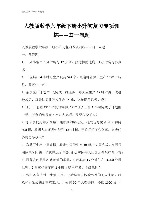 人教版数学六年级下册小升初复习专项训练——归一问题