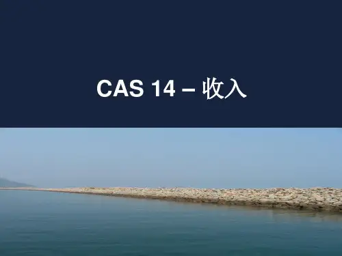 新会计准则讲义CAS14收入ppt课件