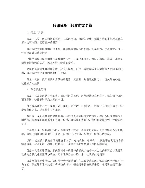 假如我是一只猫作文7篇 4