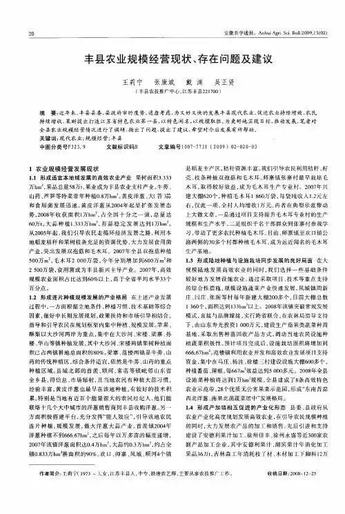 丰县农业规模经营现状、存在问题及建议