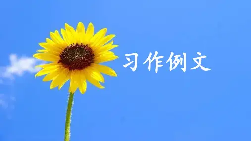 【统编版】部编版六年级语文上册第五单元《习作例文》优质课件