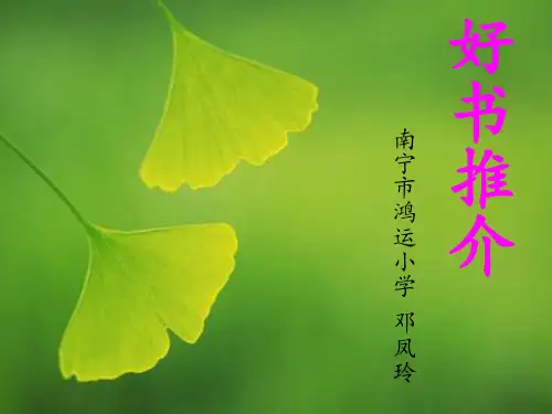 一头灵魂出窍的猪