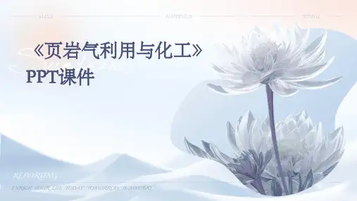《页岩气利用与化工》课件