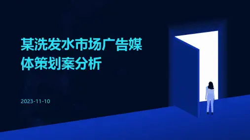 某洗发水市场广告媒体策划案分析
