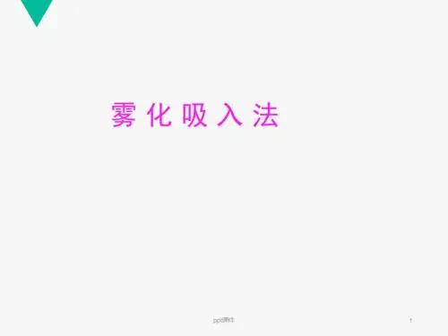 雾化吸入  ppt课件