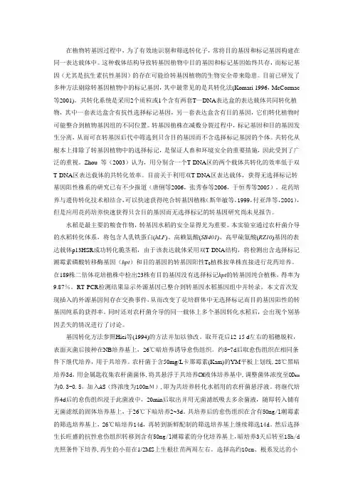 水稻转基因步骤