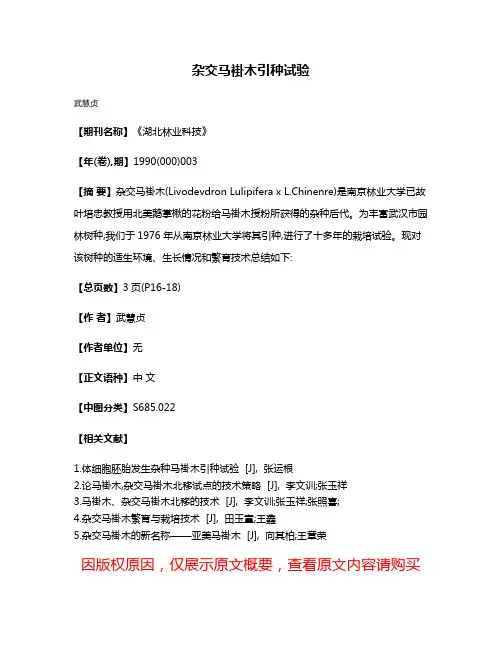 杂交马褂木引种试验