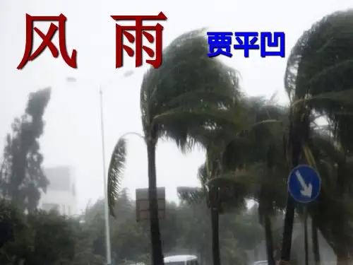 新人教版七年级语文上册《3.13风雨》课件(共19张PPT)
