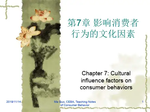 消费者行为学第七章