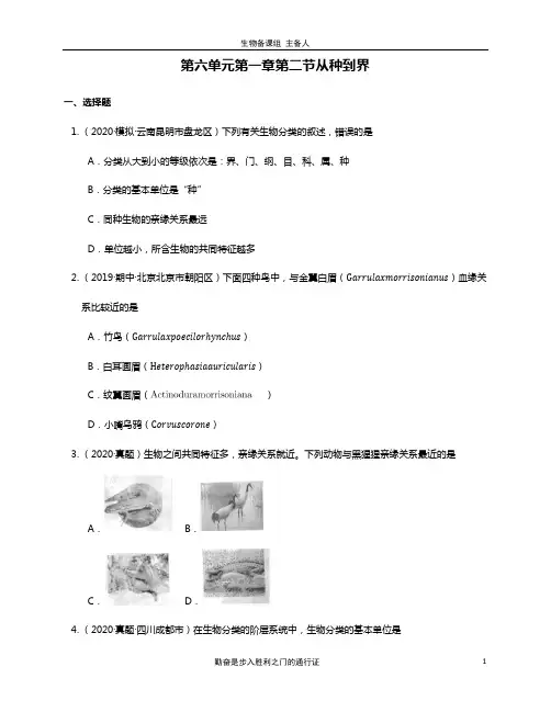 优质人教版八年级生物上册同步练习第六单元第一章第二节从种到界