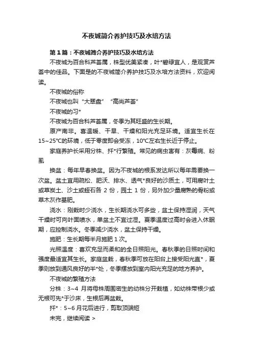 不夜城简介养护技巧及水培方法
