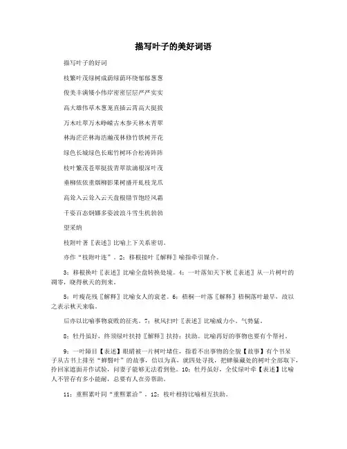 描写叶子的美好词语