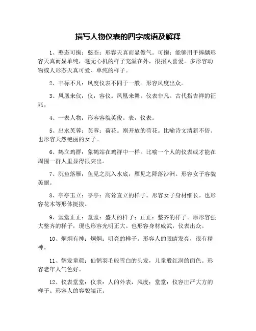 描写人物仪表的四字成语及解释