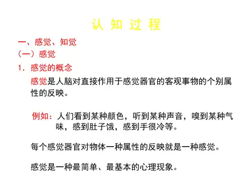 认 知 过 程