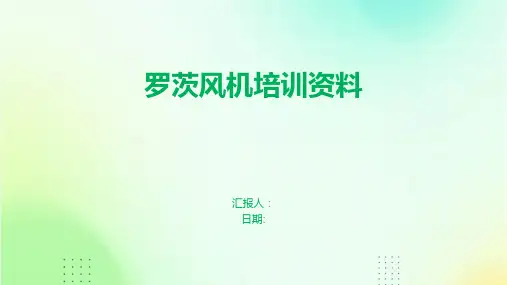 罗茨风机培训资料