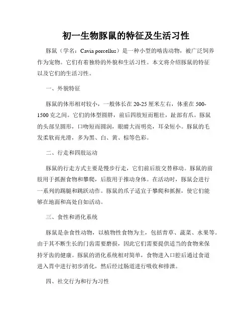 初一生物豚鼠的特征及生活习性