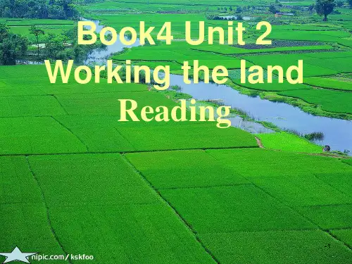 2014年袁隆平Book4-Unit-2-readingPPT演示课件