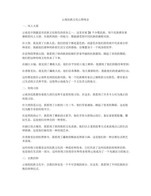 云南民族文化心得体会