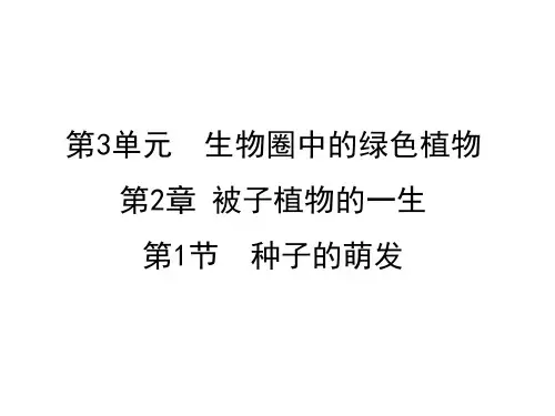 人教版七年级上册生物第三单元第二章第1节  种子的萌发
