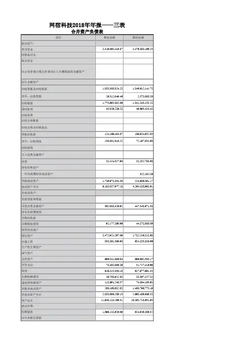网宿科技-2018年年报三表