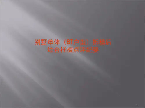 拆模后综合样板点评纪要模板ppt课件
