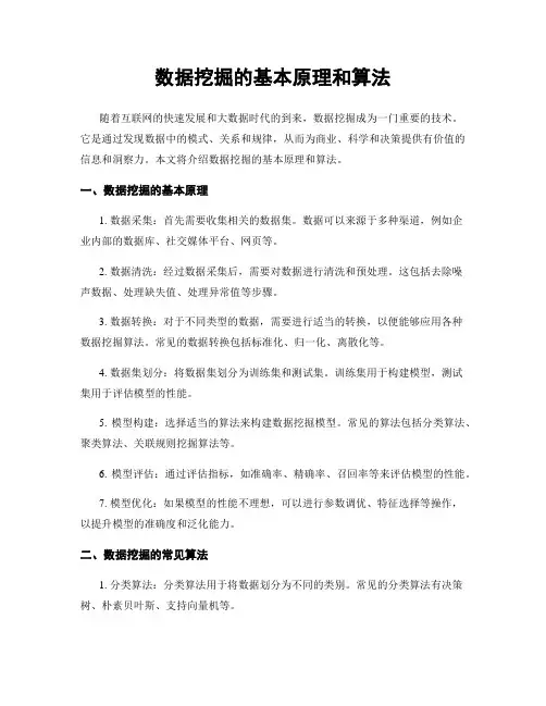 数据挖掘的基本原理和算法