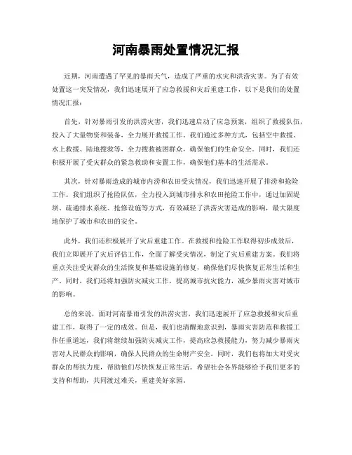 河南暴雨处置情况汇报