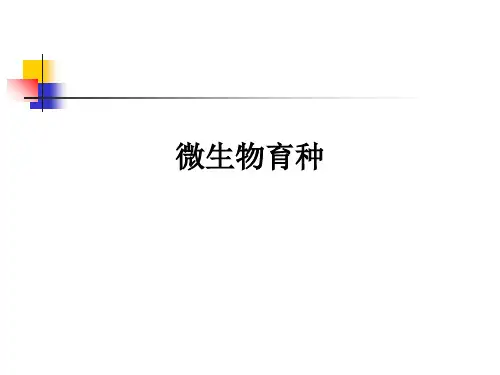 微生物育种ppt课件