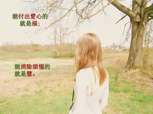 2014九年级(全一册)英语Unit 7 Section B 2a-2e