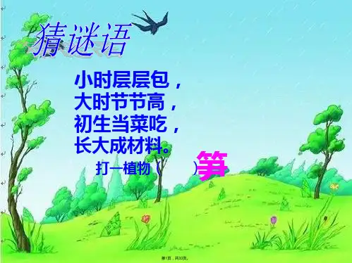 3、笋芽儿ppt课件.ppt