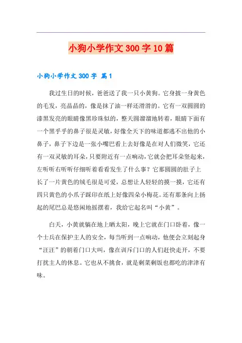 小狗小学作文300字10篇