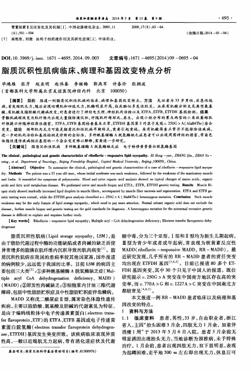 脂质沉积性肌病临床、病理和基因改变特点分析