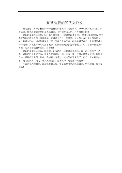 某某给我的爱优秀作文