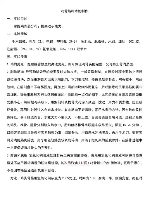 骨骼标本制做