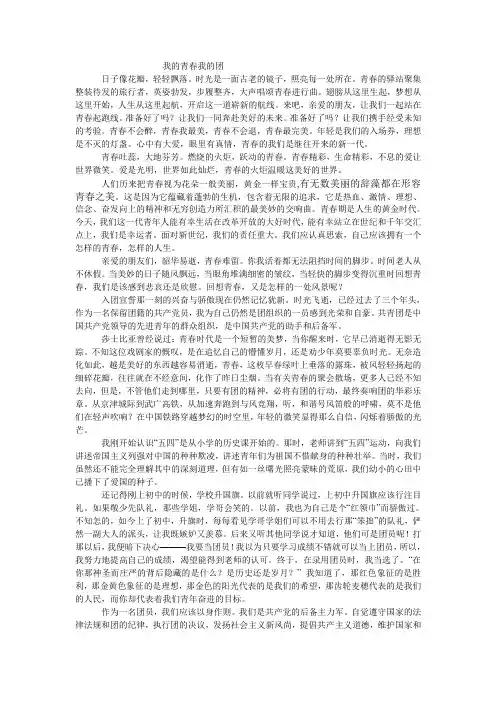 我的青春我的团征文
