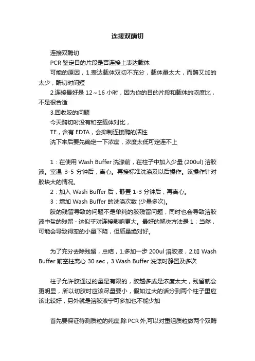连接双酶切