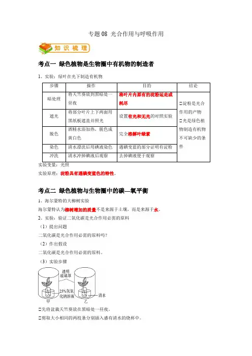 专题08 光合作用和呼吸作用-2022年中考生物一轮复习抓重点考典型(人教版)(解析版)
