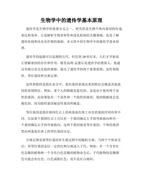 生物学中的遗传学基本原理