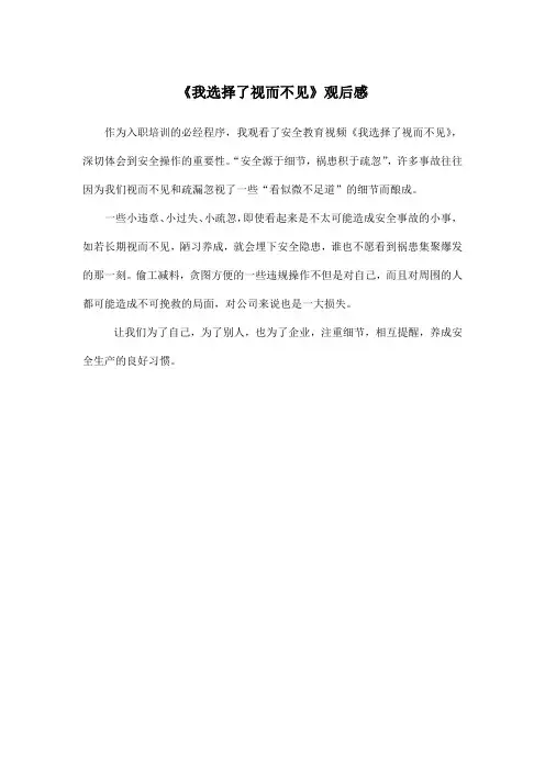 我选择了视而不见 观后感