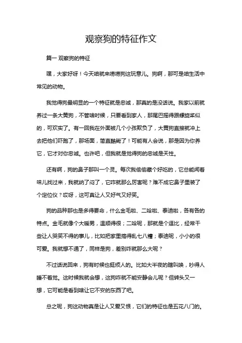 观察狗的特征作文