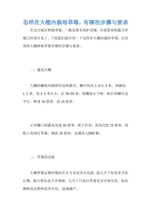怎样在大棚内栽培草莓,有哪些步骤与要求
