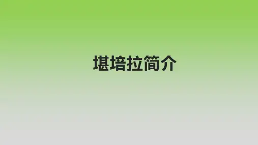 堪培拉简介
