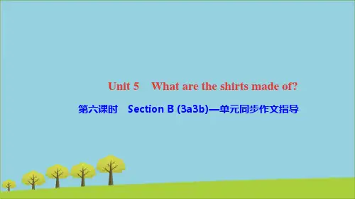 九年级英语全册Unit5Whataretheshirtsmadeof第六课时元同步作文指导