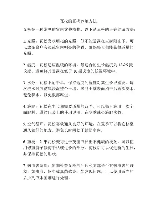 瓦松的正确养殖方法